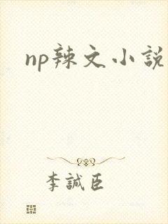 np辣文小说
