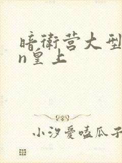 暗卫营大型hpn皇上