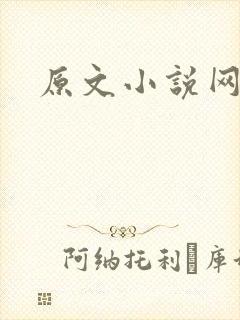 原文小说网