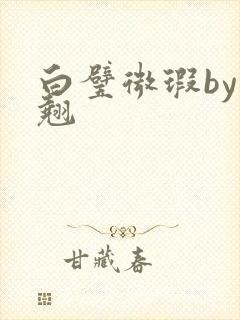 白璧微瑕by连翘