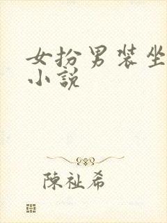 女扮男装坐江山小说