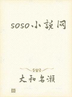 soso小说网