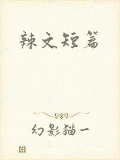 辣文短篇
