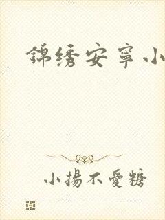 锦绣安宁小说