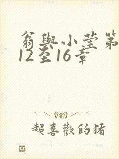 翁与小莹第十部12至16章