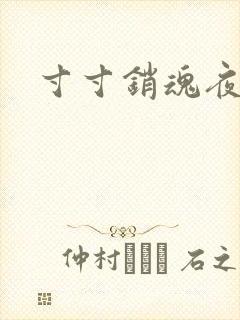 寸寸销魂夜春光