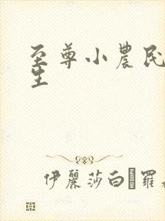 至尊小农民王木生