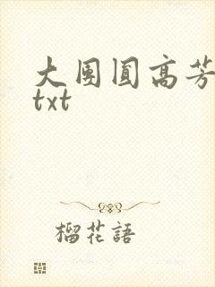 大团圆高芳小说txt