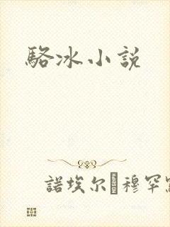 骆冰小说