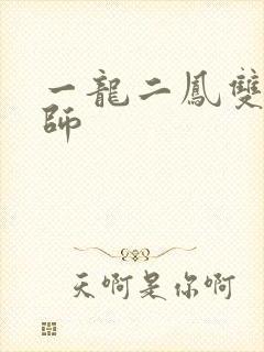一龙二凤双飞老师