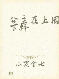 公主在上国师请下轿