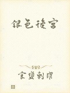 银色后宫
