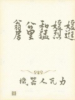 翁公和媛媛在厨房里猛烈进出