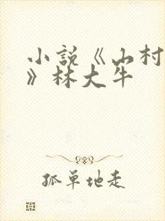 小说《山村情事》林大牛