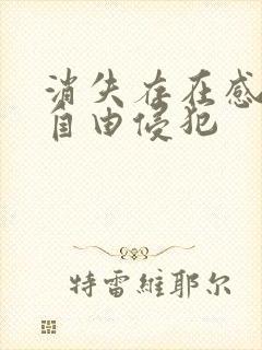 消失存在感消失自由侵犯