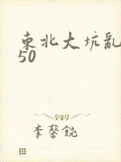 东北大坑乱1—50