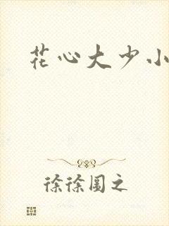 花心大少小说