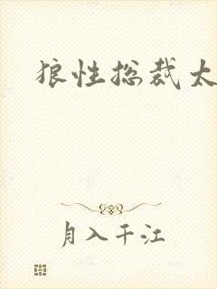 狼性总裁太凶猛