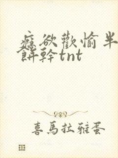 瘾欲欢愉半块小饼干tnt