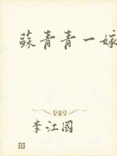 苏青青一嫁三夫