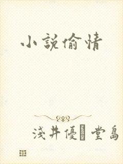 小说偷情