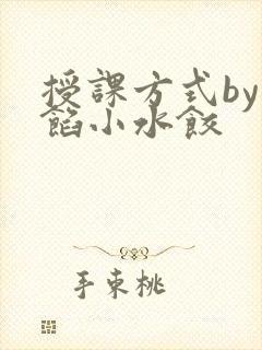 授课方式by肉馅小水饺