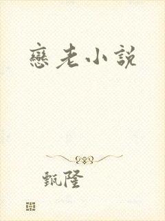 恋老小说