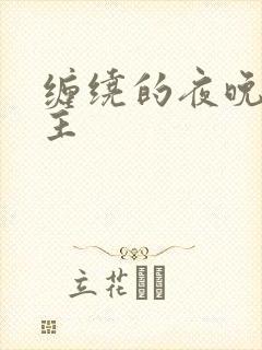 缠绕的夜晚双男主