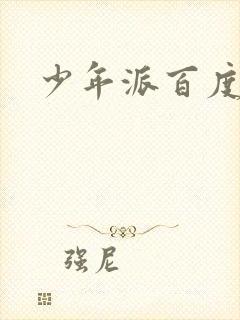 少年派百度百科