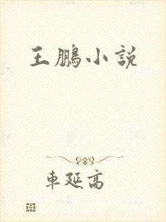 王鹏小说