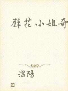 壁花小姐奇遇记