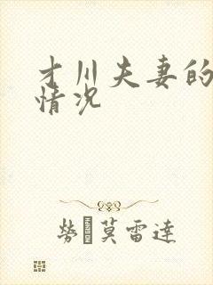 才川夫妻的恋爱情况