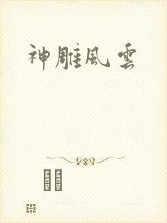 神雕风云