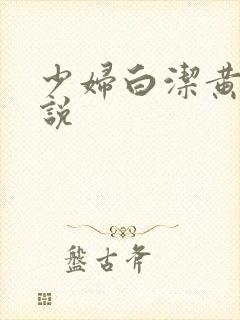 少妇白洁黄色小说