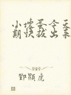 小坏蛋今天危险期快拔出来