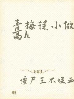 青梅从小做到大高h