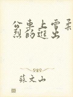 公车上雪柔被猛烈的进出