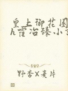 皇上御花园hlh霍冶臻小说