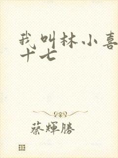 我叫林小喜今年十七