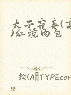 太子宠妾(高肉)红烧肉包