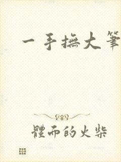 一手抚大笔趣阁