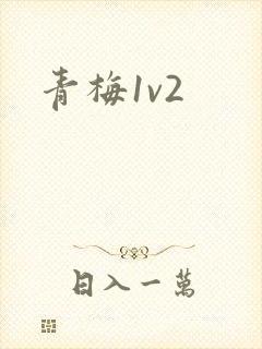青梅1v2