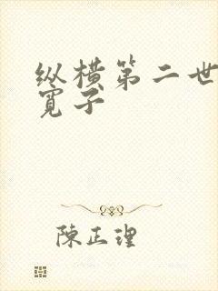 纵横第二世界 宽子