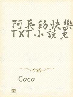 阿兵的快乐生活TXT小说免费阅读全章