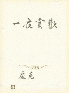 一夜贪欢