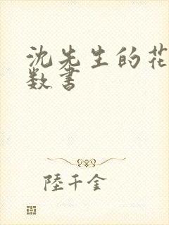 沈先生的花式调数书