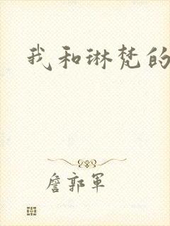 我和琳梵的故事