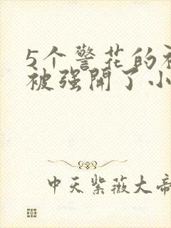 5个警花的初苞被强开了小说