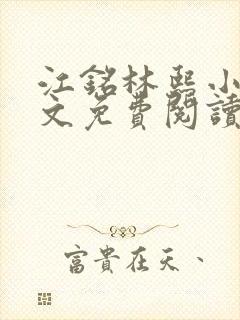 江铭林熙小说全文免费阅读