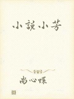 小说小芳